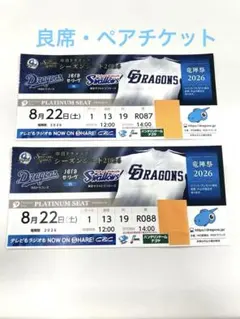 中日ドラゴンズ対阪神タイガース戦 プラチナシートチケット - メルカリ