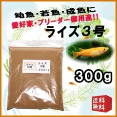 めだか 餌 エサ◇ライズ３号 ３００ｇ◇メダカ えさ☆ 愛好家御用達【b111のサムネイル