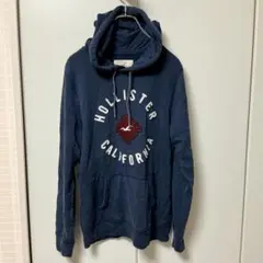 【美品】HOLLISTER デカロゴ 立体刺繍 プルオーバーパーカー S