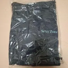 Sexy Zone パーカー PAGES Mサイズ