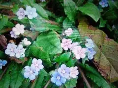 イリス様 リクエスト 3点 まとめ商品