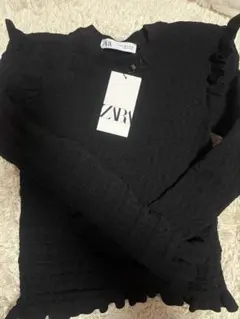 ZARA レース トップス パフスリーブ 清楚 セーター ニット ブラウス