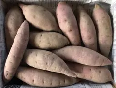 【農薬不使用】紅はるか　食べ切り　Sサイズ　1.4kg（箱込）おまけ付き