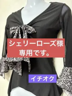 Item thumbnail for item c169ff73-97ff-4c47-8893-da813ceb6e67