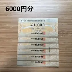 ビックカメラ　株主優待券　6000円分のサムネイル