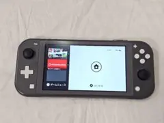 ジャンク エラーコードNintendo Switch Lite 本体 グレー - メルカリ