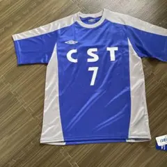 Item thumbnail for item 5c42f053-f90a-4153-b3c5-f093baf87019