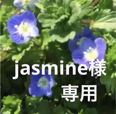 jasmine様専用　　オオイヌノフグリ のタネ