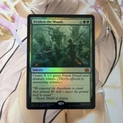 MTG Wooded Foothills 樹木茂る山麓 旧枠 英語 - メルカリ