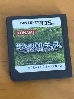DS サバイバルキッズ　LOST in BLUE 2
