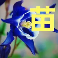 カール様 リクエスト 3点 まとめ商品