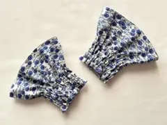 Item thumbnail for item caab897d-a3a7-4e06-82b4-d708130408ed