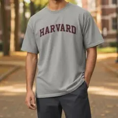 GILDAN メンズ Tシャツ グレー L