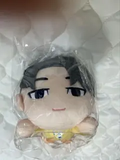 SEVENTEEN ウォヌ　ぬいぐるみ　マスコット　SEGAのサムネイル