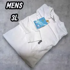 Item thumbnail for item 4e442162-6bd4-446d-813a-0627e0986392