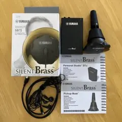 Item thumbnail for item 0fbf31ef-5dab-4aa0-b78c-ec6f5ec59f18