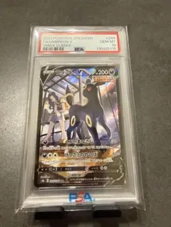 ネ*ス様 ブラッキーV CSR S8b VMAXクライマックス 244/184