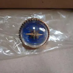 プロセカ 青柳冬弥 セカライ5thLIVE リングライト