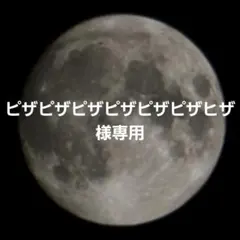 ピザピザピザピザピザピザヒザ 様専用ページ