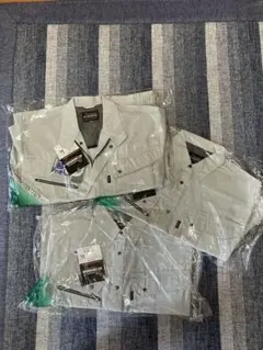 Item thumbnail for item fa34f274-78c8-49de-bd48-1994eb5034dd