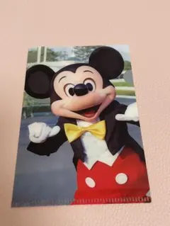 東京ディズニーリゾート ミッキー ミニー クリアファイル