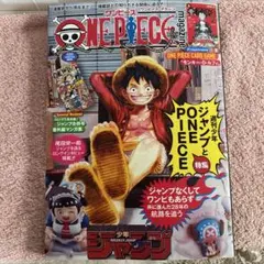 ワンピースマガジン　ルフィ本　/プロモカード付きません