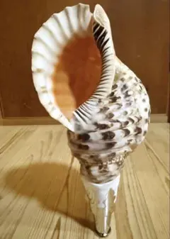 ラテ様 リクエスト 2点 まとめ商品