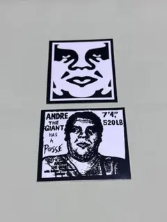 Hachi様 リクエスト 2点 まとめ商品