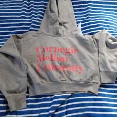 Item thumbnail for item 8f419344-2607-414c-b456-847e71b7b24f