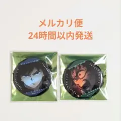 鬼滅の刃 無限城編 ものがたる眼差し 缶バッジ 義勇 炭治郎 セット