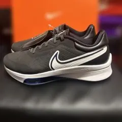 Nike ゴルフシューズ