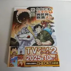 とんでもスキルで異世界放浪メシ 11: 赤岸K