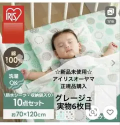 Item thumbnail for item dfc61ea7-b948-4a4b-a93f-52877c57636a