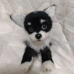 羊毛フェルト”***お祭り♥チワワちゃん - メルカリ