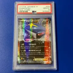 2025年最新】サメハダーex psa10の人気アイテム - メルカリ