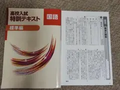 高校入試特訓テキスト 国語 標準編　解答・解説付き