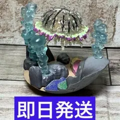 京都水族館限定 カプリウムコレクション クラゲ ハナガサクラゲ ガチャフィギュアのサムネイル