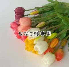ななこ様専用
