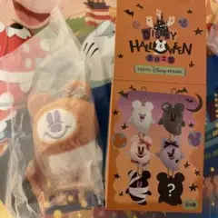 ディズニーハロウィン2025 ぬいぐるみチャームシークレット