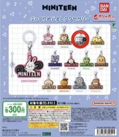MINITEEN カプセルトイ