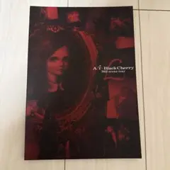 2026年最新】Acid Black Cherry パンフレットの人気アイテム - メルカリ