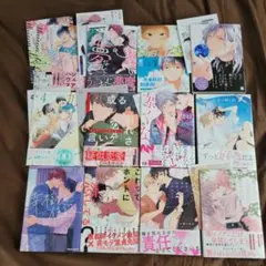 BL　新刊多め　まとめ売り　12冊セット　バラ売り可　　⑥