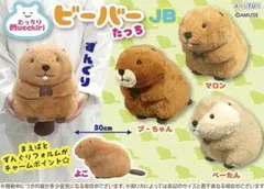 2026年最新】むっちりビーバーの人気アイテム - メルカリ