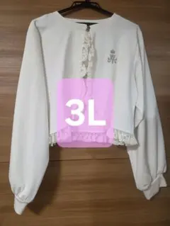 Item thumbnail for item 4c4a1632-2ad0-4a6b-8530-2f5373ef45da