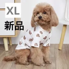 【新品 未使用】XL くま クマ 半袖 犬服 ペット 大きめ かわいい 犬猫のサムネイル