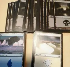 MTG 基本土地 沼 rebecca guay レベッカゲイ - メルカリ