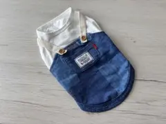 RADICA 犬服のサムネイル