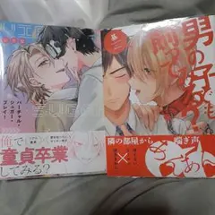 商業 BL 新刊 含 組み換え可能　バーチャル・シュガー・プレイ
