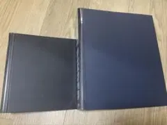 Item thumbnail for item 9230c2e0-2f4e-4b2c-b387-425fa6df8364