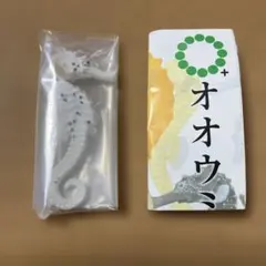 オオウミウマ　フィギュアマグネット